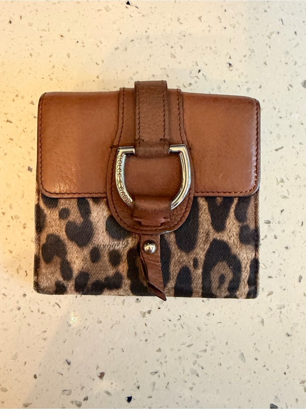 Dolce and Gabbana Brown Leopard Print Leather-Trim Women's Wallet